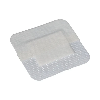 14027-elastopor_steril_10x10_cm_30 ks